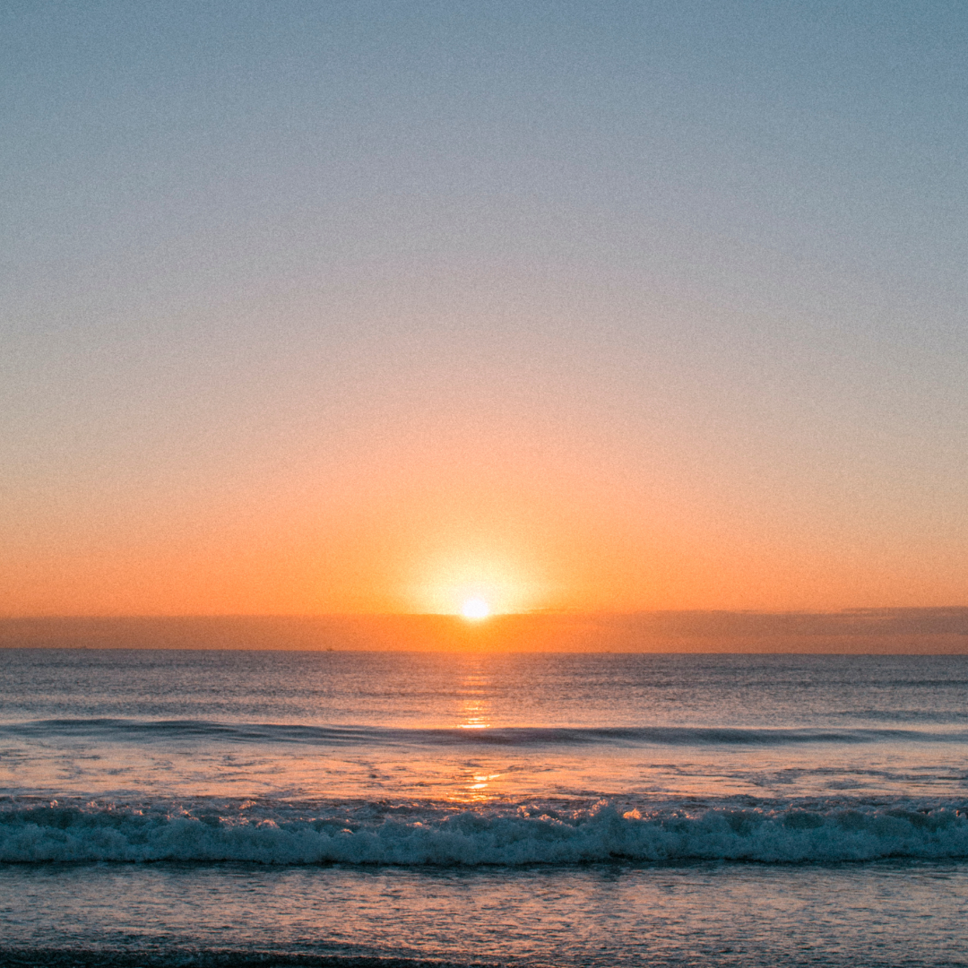 LE.BE Pädagogik - Bewegte Pädagogik